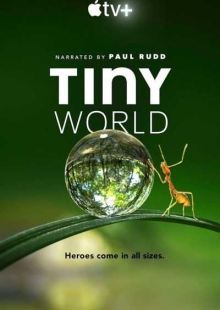 دانلود سریال Tiny World دنیای کوچک دوبله فارسی