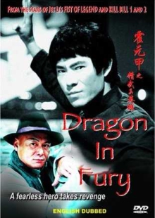 دانلود فیلم Dragon in Fury 2004 اژدهای مبارز دوبله فارسی