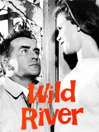 دانلود فیلم Wild River 1960 رودخانه وحشی دوبله فارسی