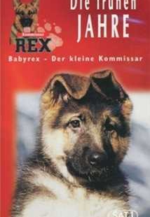 دانلود فیلم Baby Rex – Der kleine Kommissar 1997 کودکی رکس دوبله فارسی