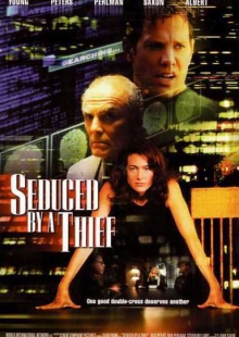 دانلود فیلم seduced by a thief 2001 عاشق دزد دوبله فارسی