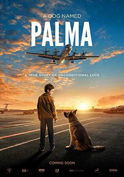 دانلود فیلم Palma 2021 پالما