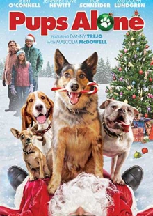 دانلود فیلم Pups Alone 2021 سگ ها در خانه