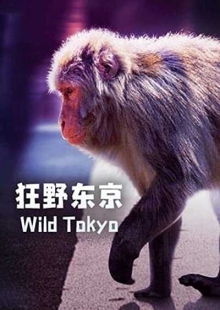 دانلود فیلم Wild Tokyo 2020 توکیو وحشی