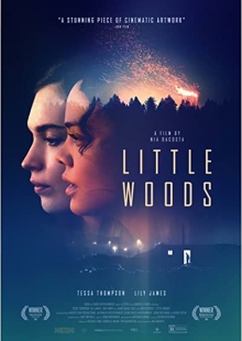 دانلود فیلم Little Woods 2018 جنگل کوچک