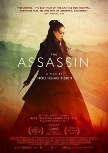 دانلود فیلم The Assassin 2015 قاتل