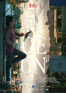 دانلود فیلم The Pigeon 2018 کبوتر